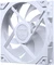 Phanteks M25G2-140 D-RGB Reverse White, weiß, 140mm Vorschaubild