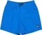 Quiksilver Everyday Solid 14" Badeshorts (Junior) Vorschaubild
