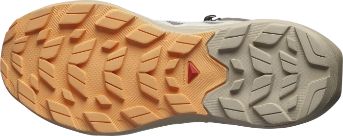 Salomon Elixir Activ Mid GTX falcon/white pepper/papaya (Damen)