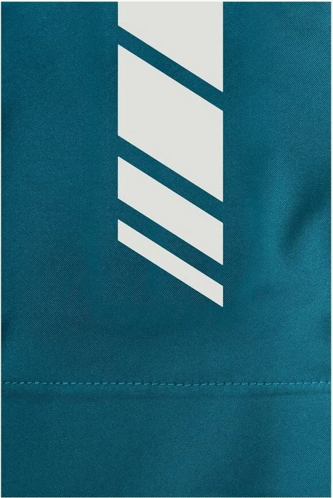 Jack Wolfskin Alpspitze Hoody Funktionsjacke blue coral (Herren)