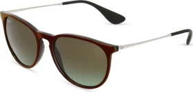 Ray-Ban RB4171 Erika Classic 54mm black-silver/brown gradient