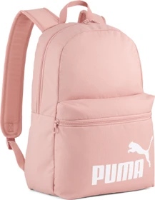 Puma Phase rosy outlook (Damen)
