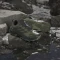adidas Terrex Skychaser AX5 Gore-Tex olive strata/night cargo/tent green (Damen) Vorschaubild