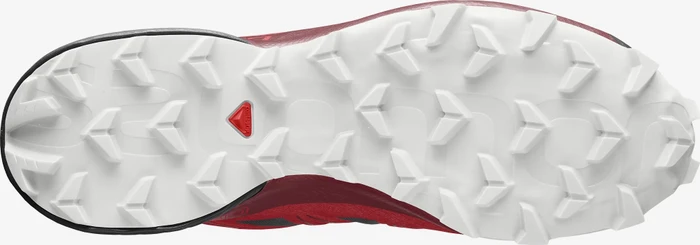 Salomon Speedcross 5 goji berry/white/black (Herren)