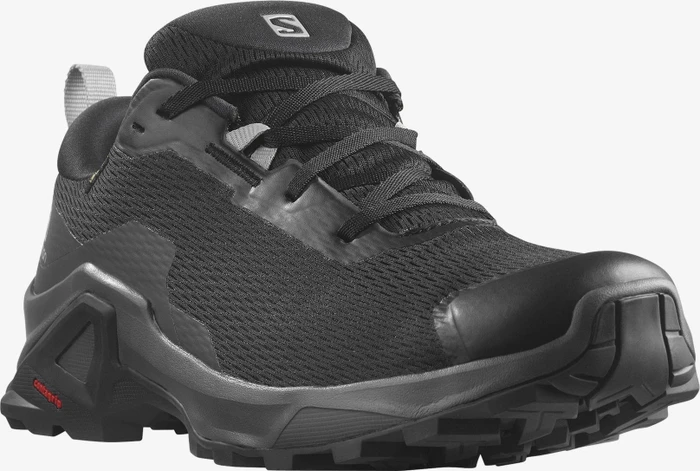 Salomon X Raise 2 GTX black/magnet/quarry (Herren)