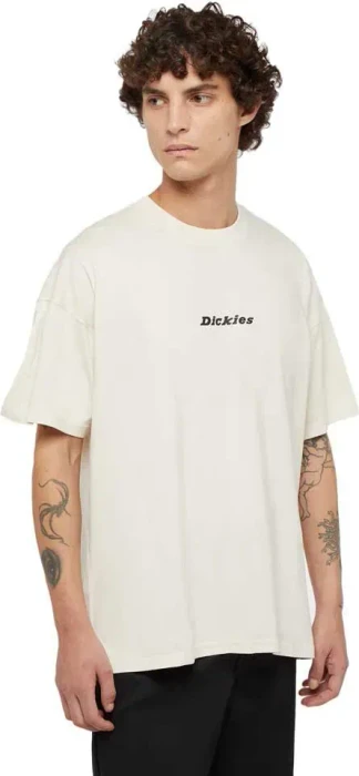 Dickies Enterprise T-Shirt kurzarm (Herren)