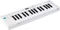 Arturia KeyStep mk2 Vorschaubild