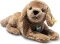 Steiff Teddies for tomorrow Lenny Labrador Vorschaubild