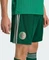 adidas FIFA WM 2026 Algerien Auswärtsshorts team dark green (Herren) Vorschaubild