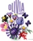 LEGO Botanicals - Olivia Rodrigos Blumenstrauß Vorschaubild