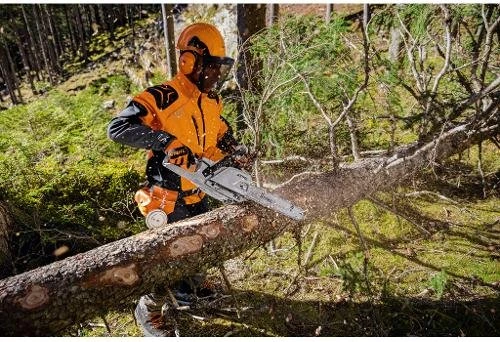 Stihl MS231C-BE 40cm Benzin-Kettensäge