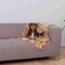 Trixie Decke Laslo, 100x70cm, beige Vorschaubild