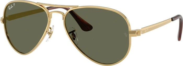 Ray-Ban RB3925 Aviator Max