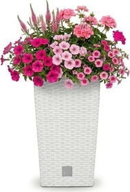 Prosperplast Rato Square 26.5x26.5cm weiß