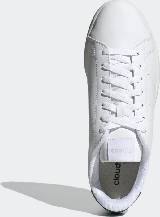 adidas Advantage cloud white/legacy teal (Herren)