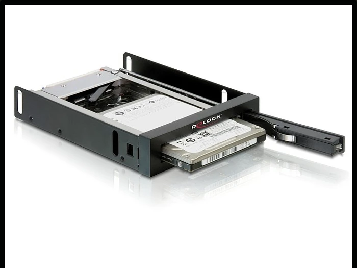 DeLOCK 3.5" Wechselrahmen auf 2.5" SATA