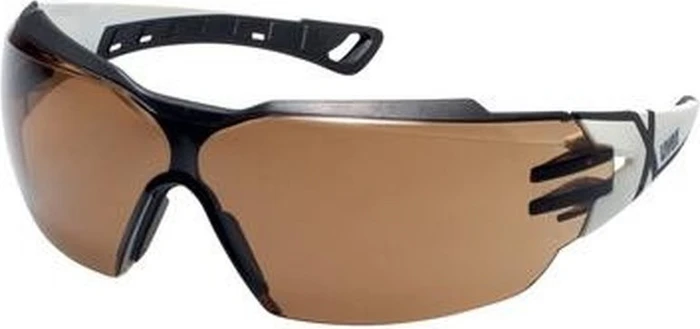 UVEX Pheos CX2 Schutzbrille CBR23