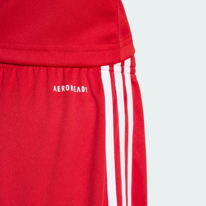 adidas Squadra 25 Trainingshose kurz team power red 2/white (Junior)