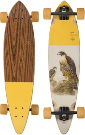 Globe Pintail 34" Komplett-Longboard falcon