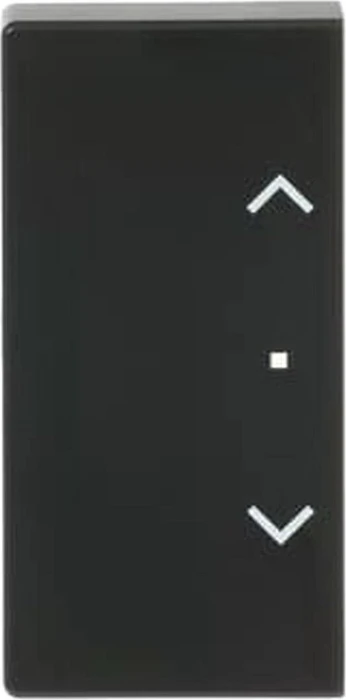 Busch-Jaeger Wippe 2-fach mit Symbol "Jalousie", schwarz matt