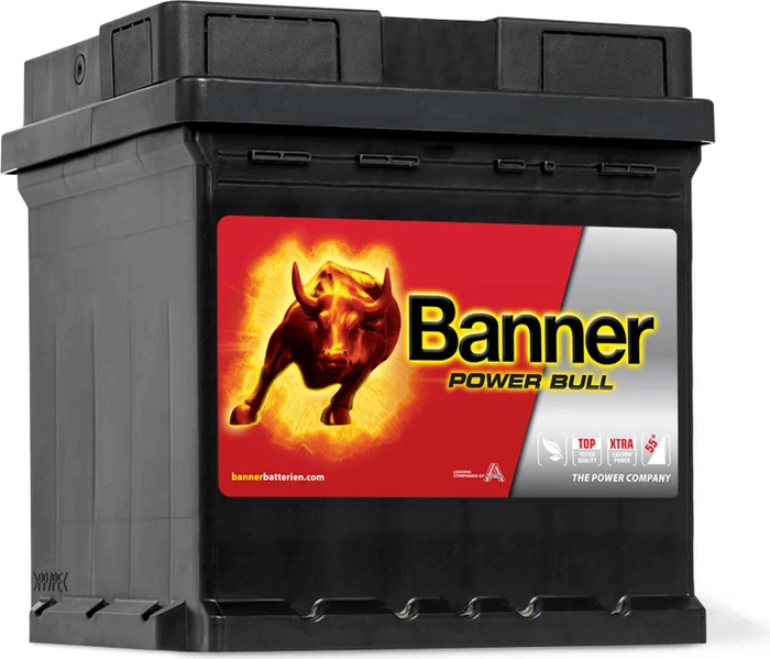Banner Power Bull P4208