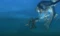 Monster Hunter 3 Ultimate (3DS) Vorschaubild