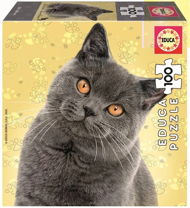 Educa British Shorthair