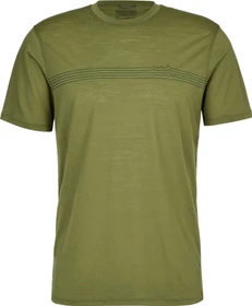 Patagonia Capilene Cool Merino Graphic Funktionsshirt kurzarm fitz roy fader/palo green (Herren)