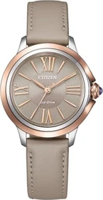 Citizen EM1166-01Z