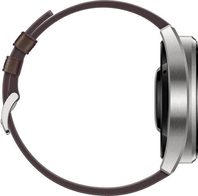 Huawei Watch 3 Pro Classic silber/braun