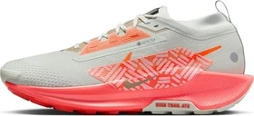 Nike Pegasus Trail 5 Gore-Tex light silver/light wild mango/vintage coral/hyper crimson (Herren)