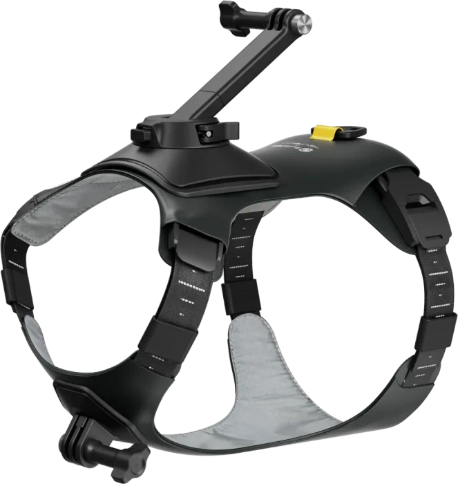 Insta360 Haustiergeschirr-Halterung Größe M