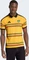 adidas Jamaika 26 x Bob Marley 2026 Heimtrikot kurzarm (Herren) Vorschaubild