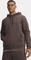 Under Armour Icon Fleece Hoodie (Herren) Vorschaubild