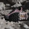 adidas Terrex AX4 GTX burgundy/preloved fig/warm clay (Damen) Vorschaubild