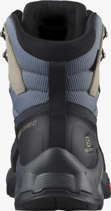 Salomon Quest Element GTX ebony/rainy day/stormy weather (Damen)