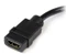 StarTech HDMI/DVI-D [Stecker] Adapterkabel 0.2m Vorschaubild