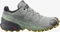 Salomon Speedcross 5 GTX wrought iron/spray/antique moss (Damen) Vorschaubild