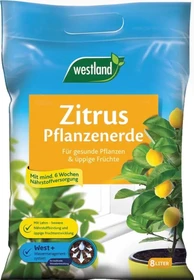 Westland Torffreie Zitruspflanzen Erde, 8l