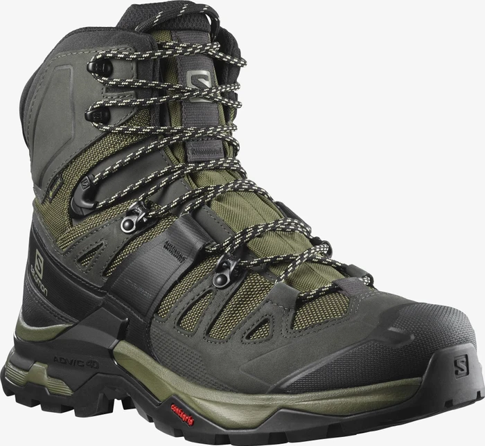 Salomon Quest 4 GTX olive night/peat/safari (Herren)