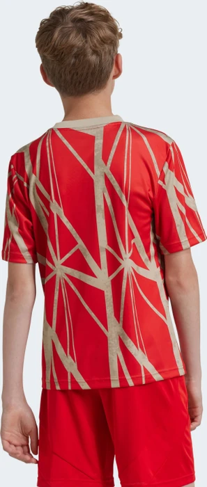 adidas FC Bayern München 2024/2025 Aufwärmshirt (Junior)