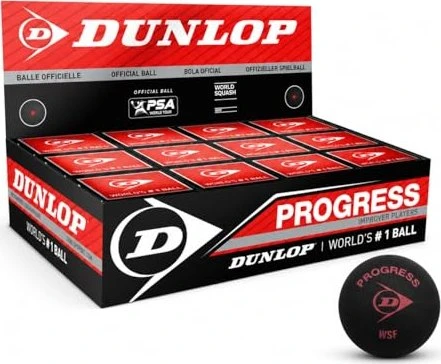 Dunlop Squashball Progress