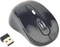 Gembird Wireless Optical Mouse 6B-01 schwarz, USB Vorschaubild