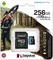 Kingston Canvas Go! Plus R170/W90 256GB Kit, UHS-I U3, A2, Class 10 Vorschaubild