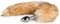 EasyToys Fox Tail Plug Vorschaubild