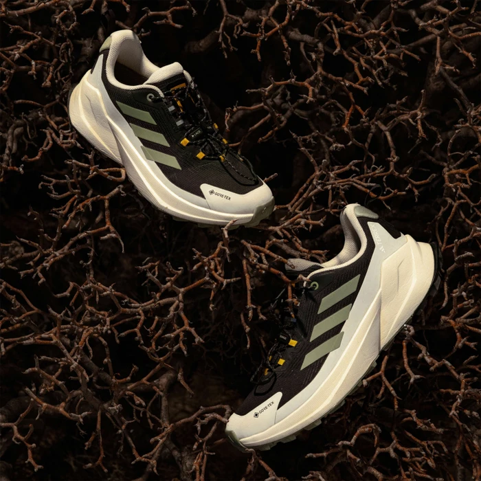 adidas National Geographic Terrex Trailmaker 2 GTX Speed Lace carbon/silver green/orbit grey (Herren)