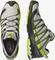 Salomon XA Pro 3D V8 lunar rock/evening primrose/olivine (Herren) Vorschaubild