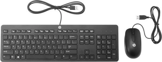 HP Slim Business Keyboard und Maus, USB, DE