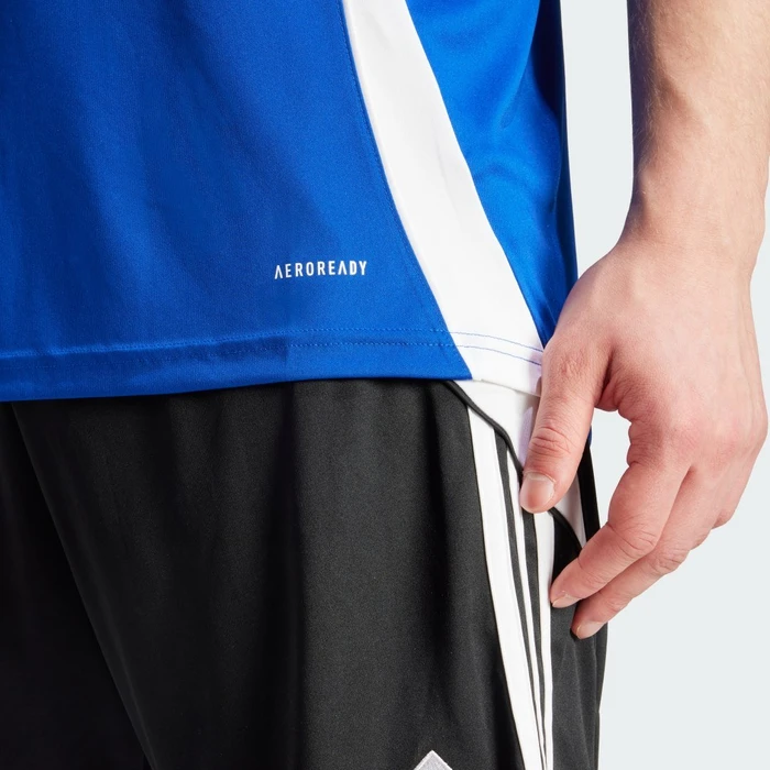 adidas Tiro 24 Trikot kurzarm royal blue/white (Herren)