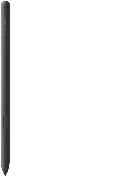 Samsung Galaxy Tab S6 Lite P620, Oxford Gray, 64GB
